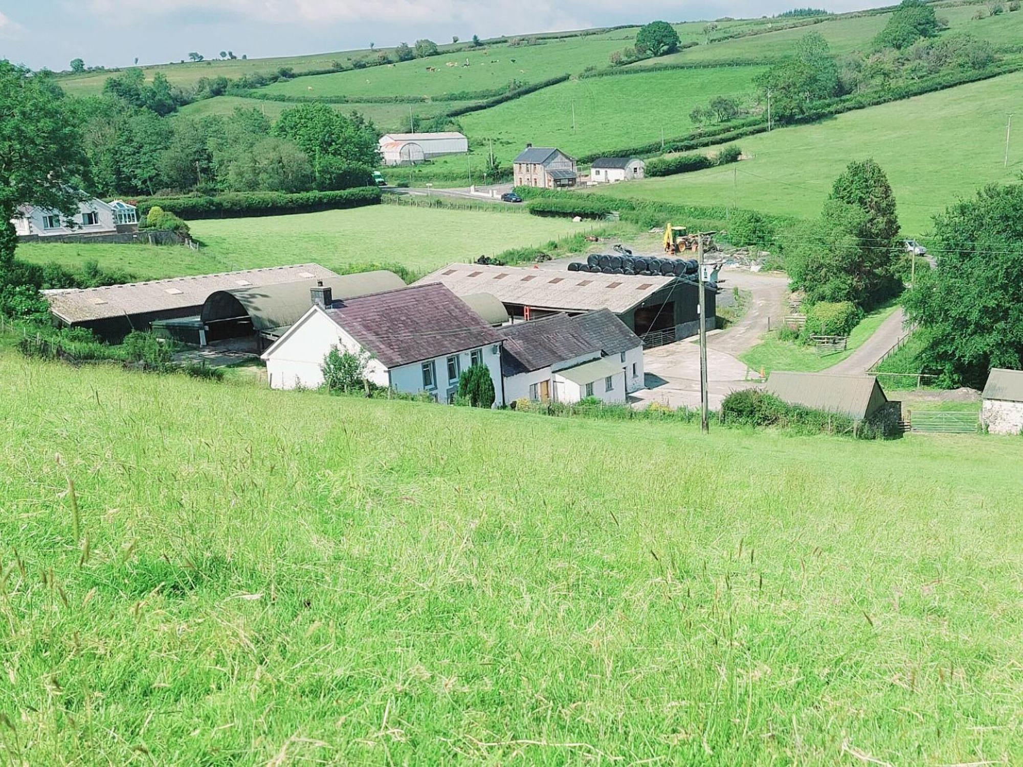 Brechfa Typicca Farmhouse מראה חיצוני תמונה